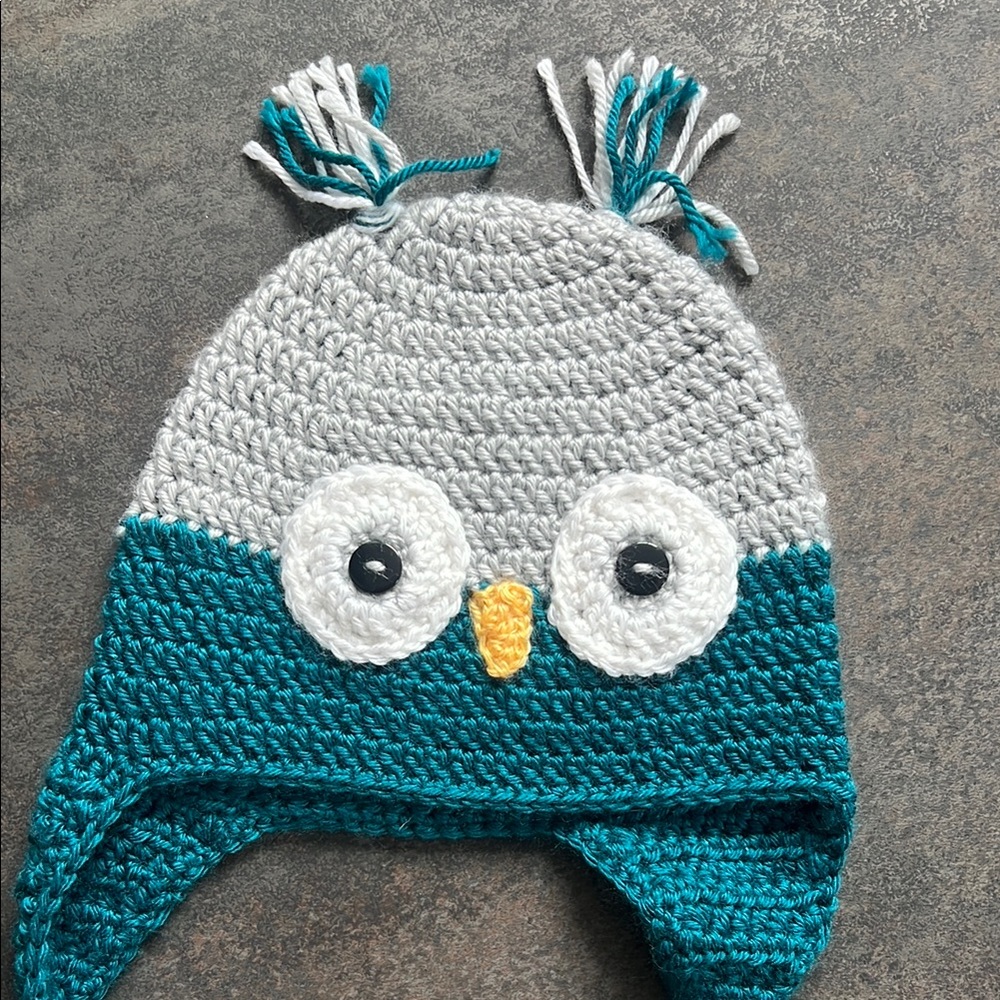 Cute Owl Crochet Beanie in Teal and Gray